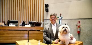 Em audiência pública na CLDF, lideranças exaltam o trabalho de Daniel Donizet na proteção animal