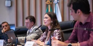 Giro Distrital destaca oitivas da CPI do Rio Melchior