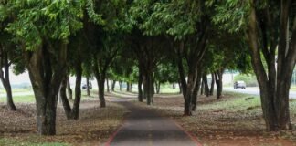 Cinco anos após a inauguração, ciclovia entre Gama e Santa Maria é referência de mobilidade na região