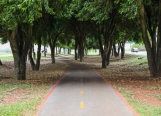 Cinco anos após a inauguração, ciclovia entre Gama e Santa Maria é referência de mobilidade na região