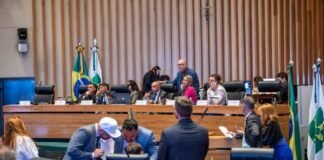 Alteração no Orçamento do DF destina R$ 500 mil a iniciativas de proteção animal