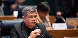 PL aprovado institui auxílio financeiro para protetores de animais
