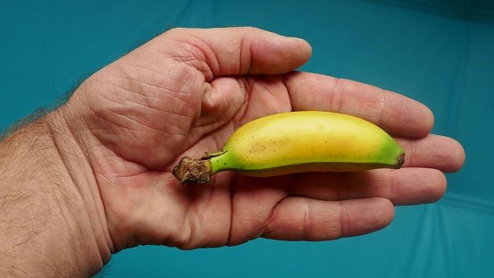 A closeup shot of a mini banana in the palm of a hand on a blue background