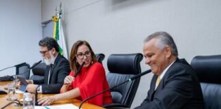 Comissão de Saúde aprova campanha permanente contra o mosquito da dengue no DF
