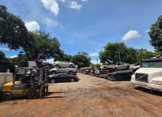 Leilão Higeia 2025 – PCDF