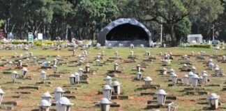 Infarto lidera mortes prematuras no DF e dengue dispara no ranking – VEJA LISTA