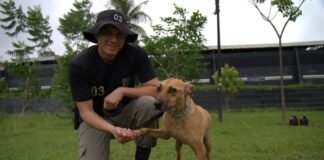 Adote! PM promove projeto pioneiro de adestramento e adoção de cães de rua – Portal Goiás
