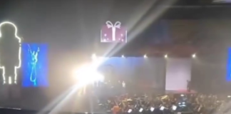 Vídeo: Celina Leão é vaiada em apresentação de O Quebra-Nozes em Brasília