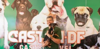 Programa de proteção animal sai do papel no DF e garante apoio a protetores