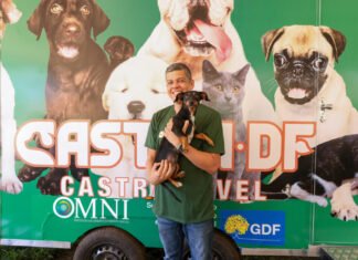 Programa de proteção animal sai do papel no DF e garante apoio a protetores