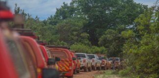 É o Governo de Goiás presente! Goiás Alerta e Solidário leva benefícios sociais a comunidades quilombolas e indígenas – Portal Goiás
