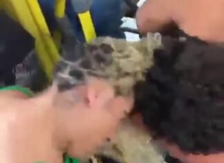 Vídeo: barraco ‘inclusivo’ em ônibos de Brasília