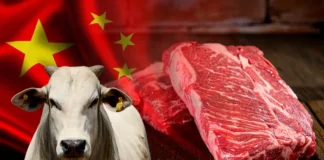 China taxará carne bovina do Brasil em 55% se importações ultrapassarem cota
