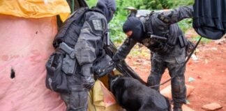 Operação Full Time ultrapassa 240 prisões e reforça combate a crimes graves no Distrito Federal
