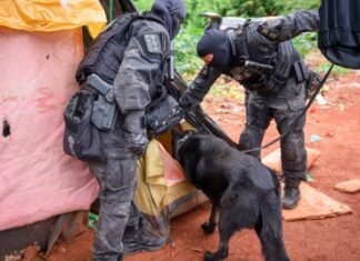 Operação Full Time ultrapassa 240 prisões e reforça combate a crimes graves no Distrito Federal