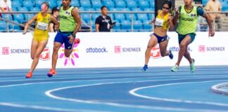 Retrospectiva: atletismo e judô são destaques na temporada paralímpica