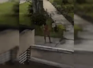 Vídeo: “peladão misterioso” volta a assustar moradores no DF