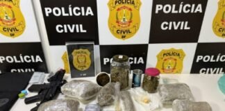 PCDF prende homem que traficava maconha de alto valor em quadra residencial da Asa Sul
