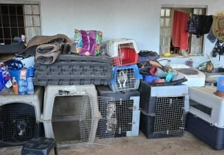PCDF prende adestrador que mantinha cães confinados em caixas sem água e alimento