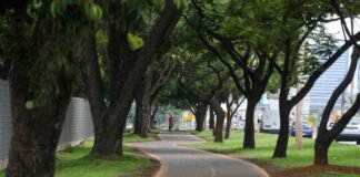 Entra em vigor a Política Distrital de Arborização Urbana e Combate a Desigualdades Ambientais