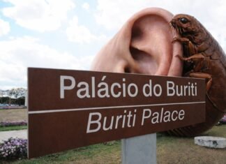 A pulga atrás da orelha do Buriti: quem Vorcaro pode delatar?