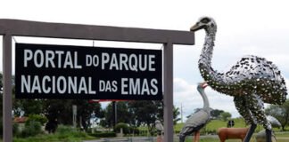 Para fortalecer o turismo, começa instalação de 40 pontos de Wi-Fi público – Portal Goiás