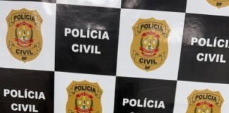 PCDF recupera cachorro furtado no Lago Norte em ação rápida da 9ª DP