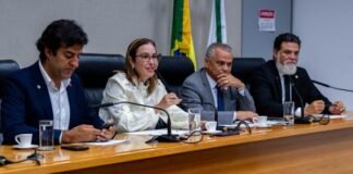 Garantia de atendimento especializado a crianças e adolescentes vítimas de violência