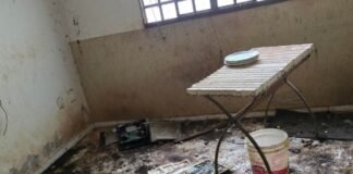 PCDF resgata idoso durante averiguação de denúncia sobre maus-tratos a animais