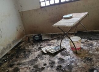 PCDF resgata idoso durante averiguação de denúncia sobre maus-tratos a animais