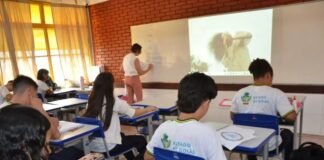Governo anuncia reajuste de 5,4% para todos professores da rede estadual de ensino de Goiás – Portal Goiás