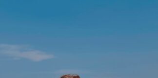 Du, dudu, dududu, Duda