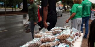 Ração do Bem mobiliza moradores do Gama em ação de cuidado com animais de rua