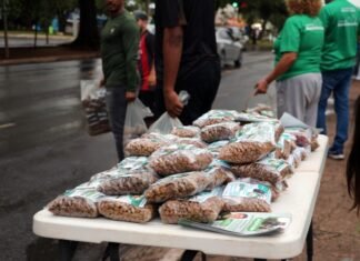 Ração do Bem mobiliza moradores do Gama em ação de cuidado com animais de rua