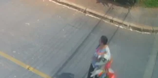 Vídeo – câmeras flagram “sequestro” de shih tzu no Guará
