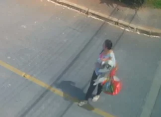 Vídeo – câmeras flagram “sequestro” de shih tzu no Guará
