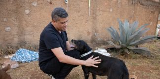 Projeto Coleira da Vida de Daniel Donizet já protege milhares de animais e inspira iniciativas em outros estados do Brasil
