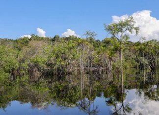 Governo levantou R$ 179 bi desde 2023 para transição ecológica