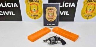 Tráfico sobre Rodas – PCDF
