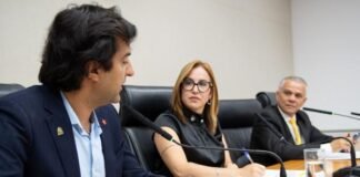 Comissão de Saúde aprova campanha educativa sobre uso excessivo de telas por crianças