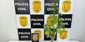 PCDF prende em flagrante dois homens por tráfico em Planaltina