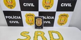 PCDF apreende dois mil comprimidos de ecstasy e prende quatro homens por tráfico