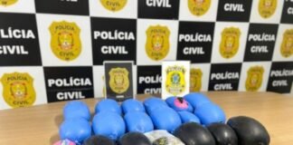 PCDF realiza ação conjunta e apreende 30 kg de haxixe e skunk avaliados em R$ 1 milhão