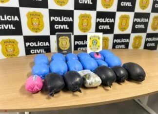 PCDF realiza ação conjunta e apreende 30 kg de haxixe e skunk avaliados em R$ 1 milhão