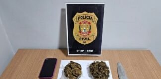 PCDF prende autor de tráfico interestadual de drogas