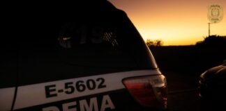 PCDF prende quatro homens por crime ambiental