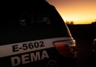 PCDF prende quatro homens por crime ambiental