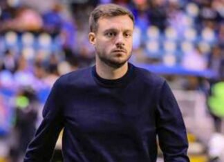 Botafogo demite técnico Martín Anselmi