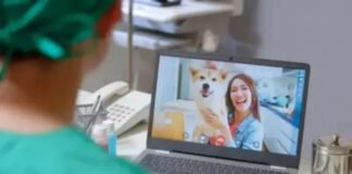 Daniel Donizet protocola projeto para levar atendimento veterinário remoto gratuito à população do DF