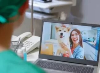 Daniel Donizet protocola projeto para levar atendimento veterinário remoto gratuito à população do DF